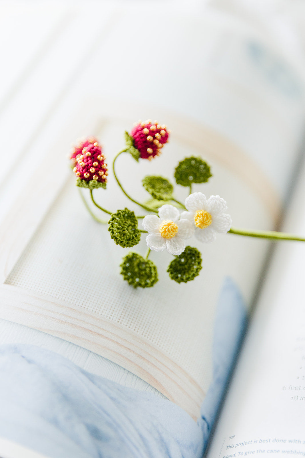 Microcrochet Liz Strawberry Bookmark