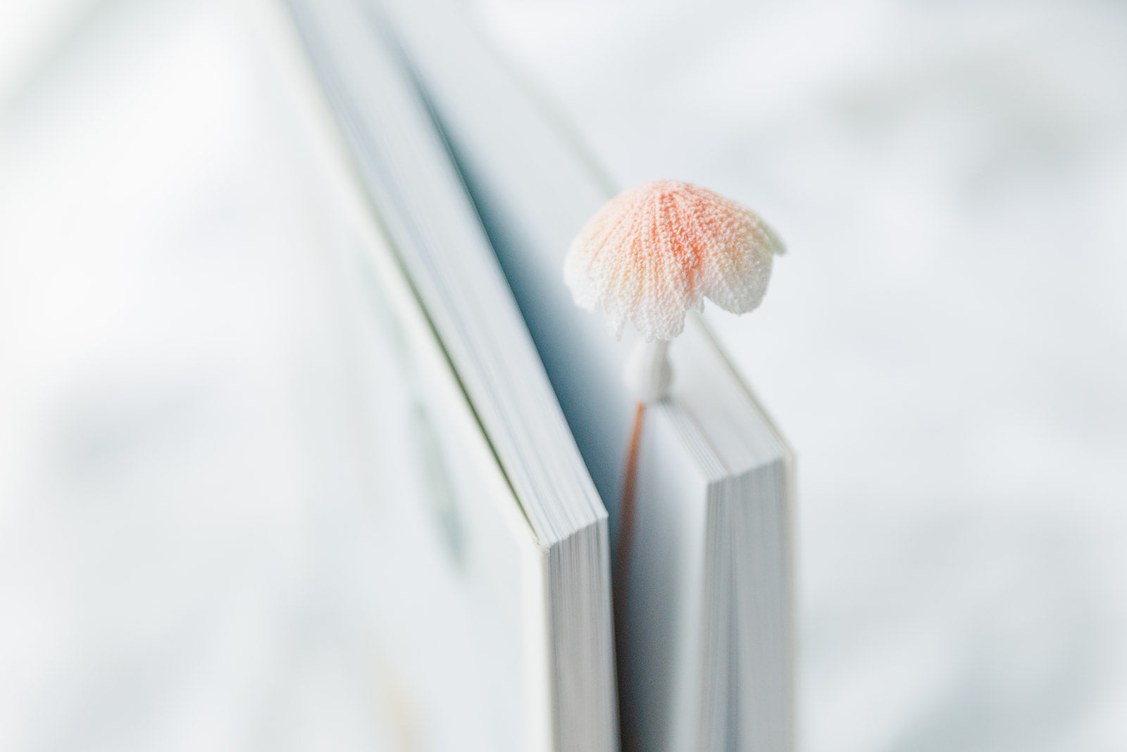 Microcrochet Mushroom Bookmark